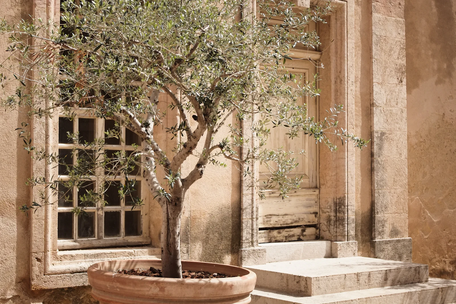 Mediterrane Terrasse